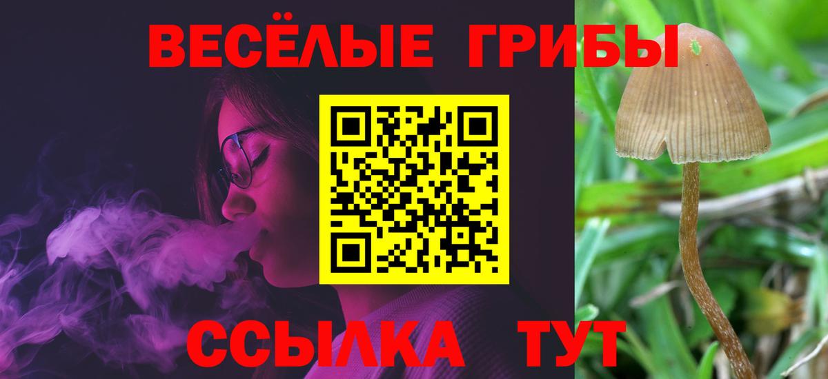 Псилоцибиновые грибы GOLDEN TEACHER  Вход с VPN  Иваново 